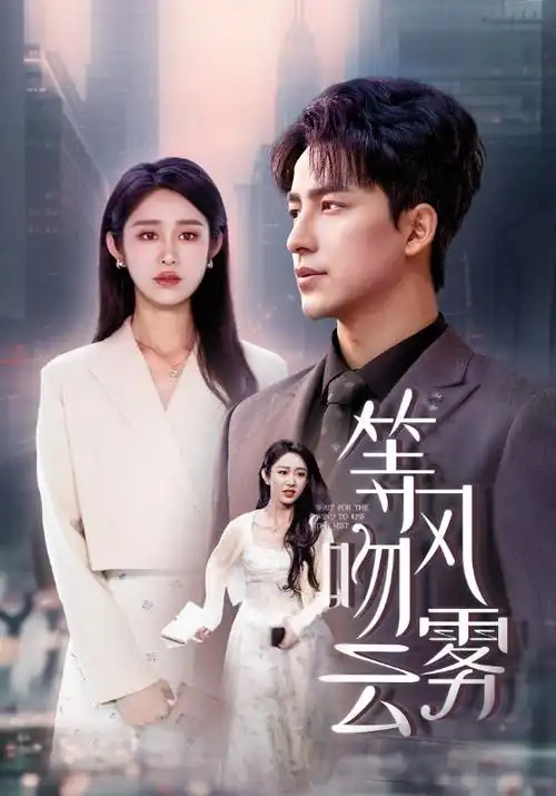 都市情感剧海上花正开全集在线观看